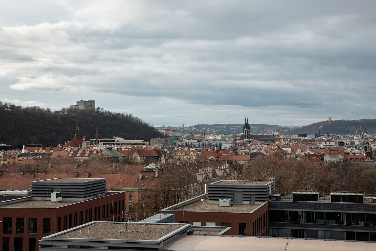 1+kk, Molákova, Praha - Karlín, 30 m² - 1