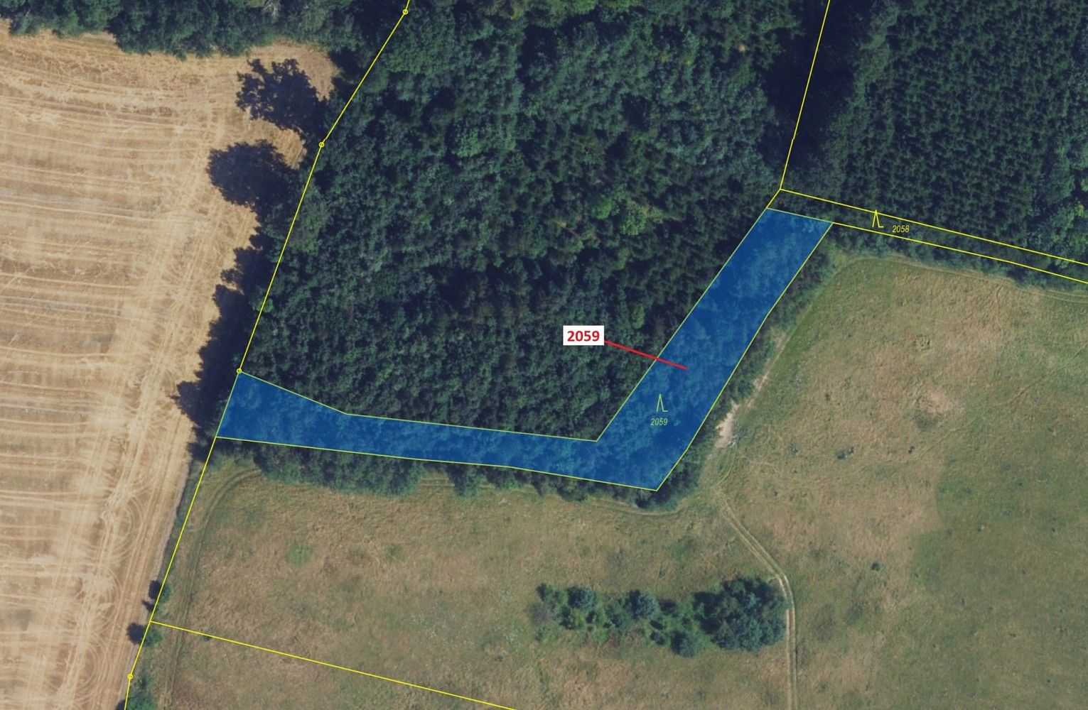 Prodej les - Dlouhá Loučka, okres Svitavy, Pardubický kraj - 2