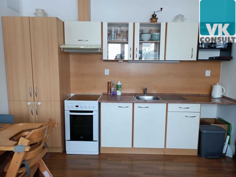 Pronájem byt 1+1 - Ústí nad Orlicí, 48 m²