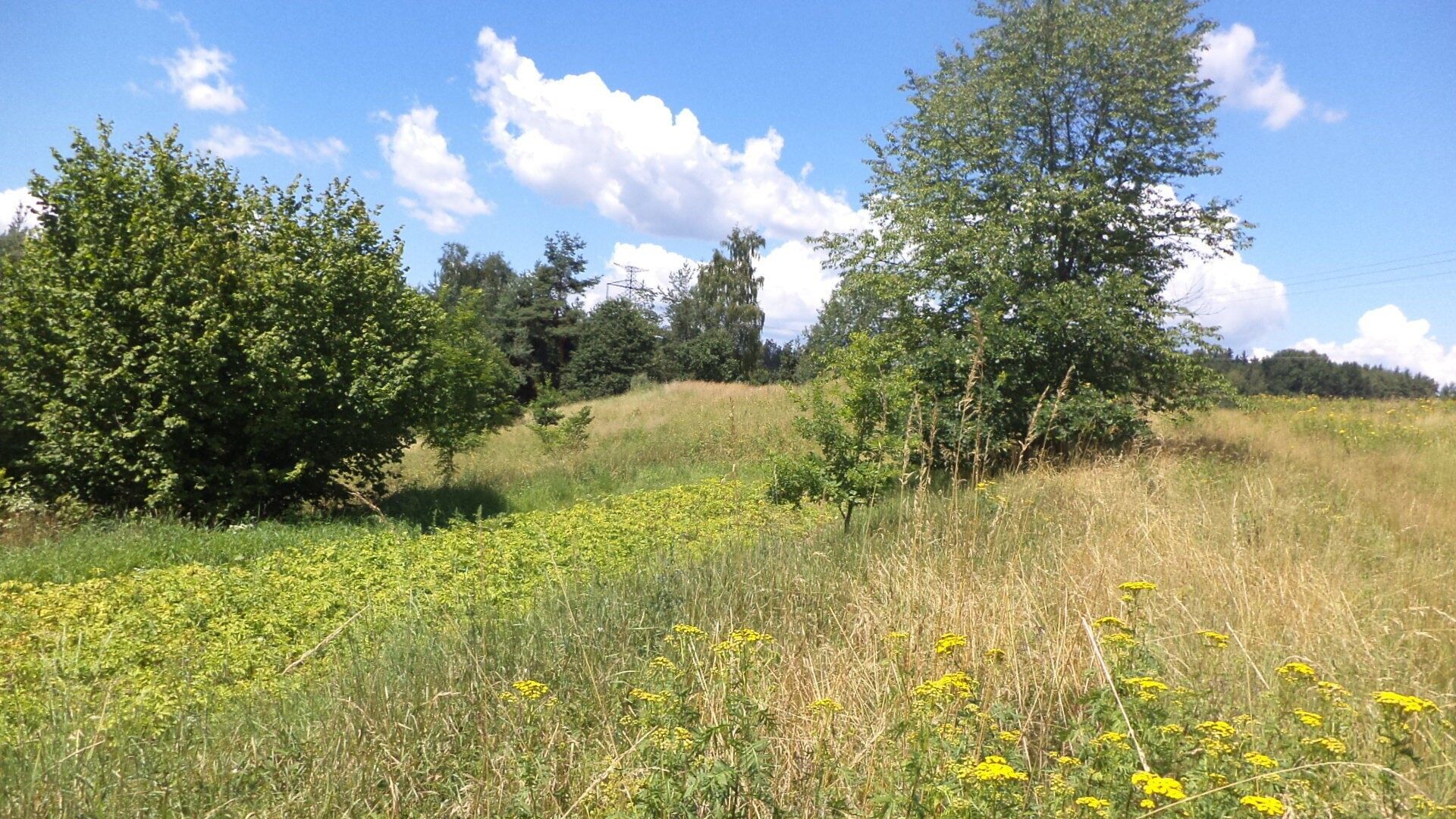 Prodej pozemek - Stráž, 15 644 m² - 5