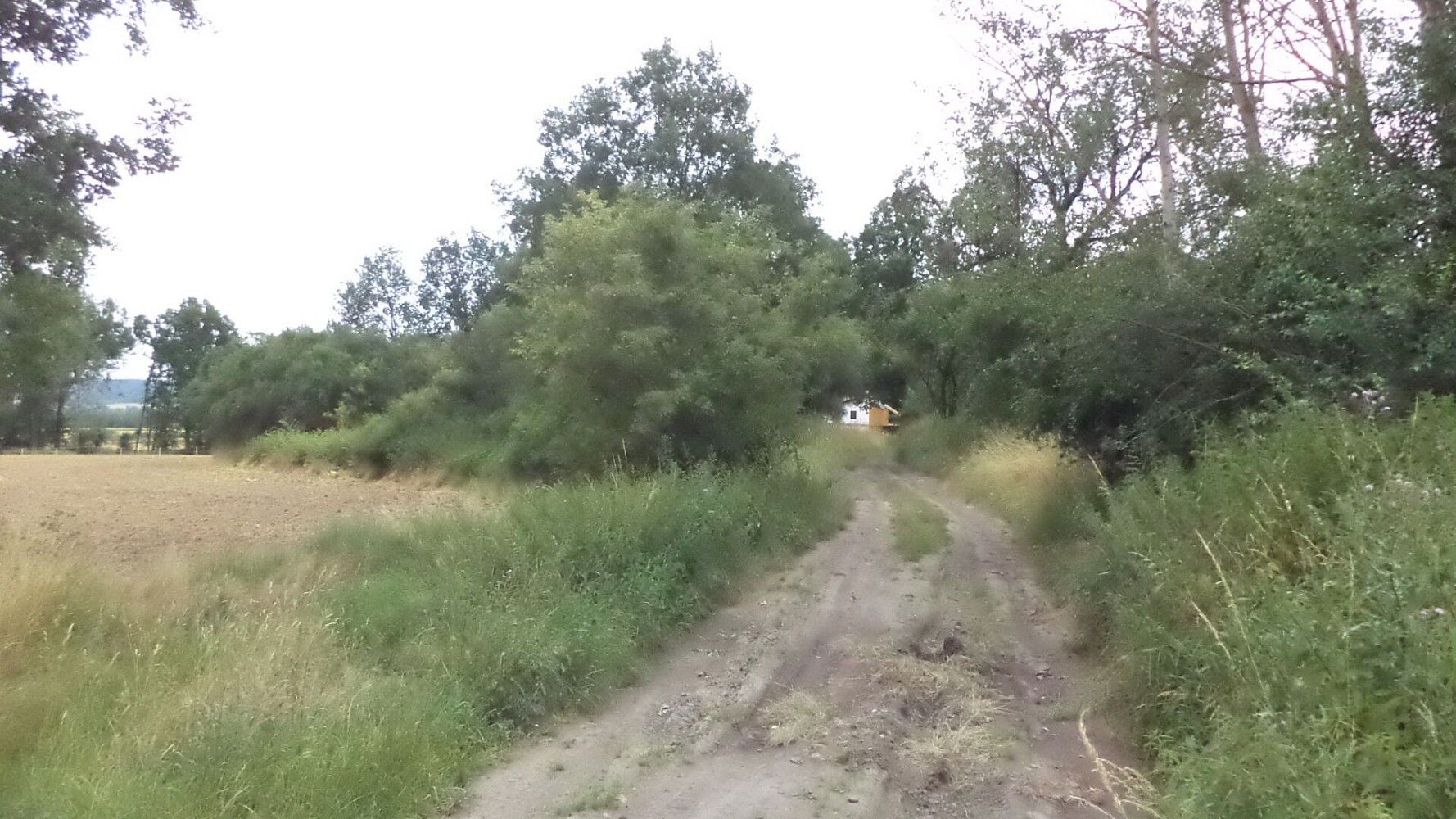 Zahrady, Heřmanova Huť - Vlkýš, okres Plzeň-sever, Plzeňský kraj - 2