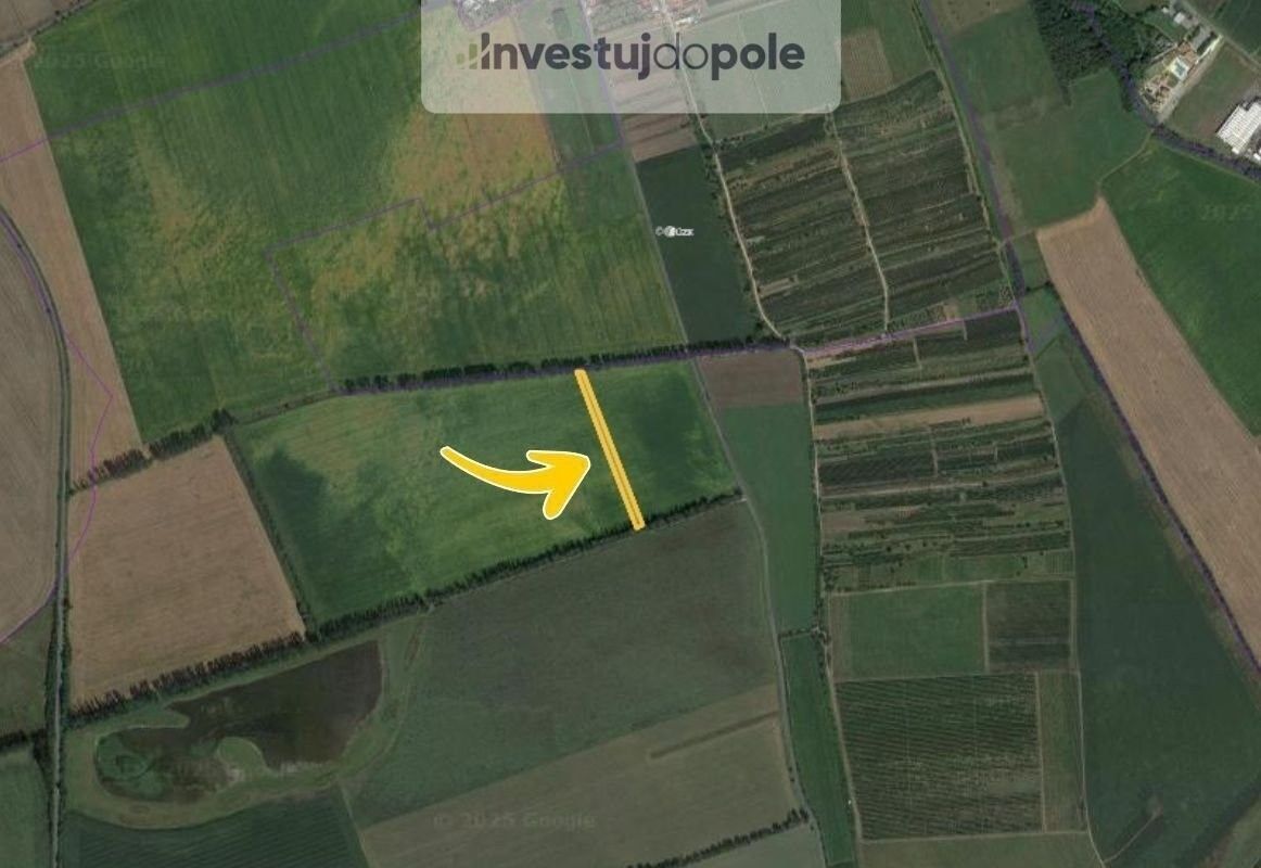 Prodej zemědělský pozemek - Lipov, 4 290 m²