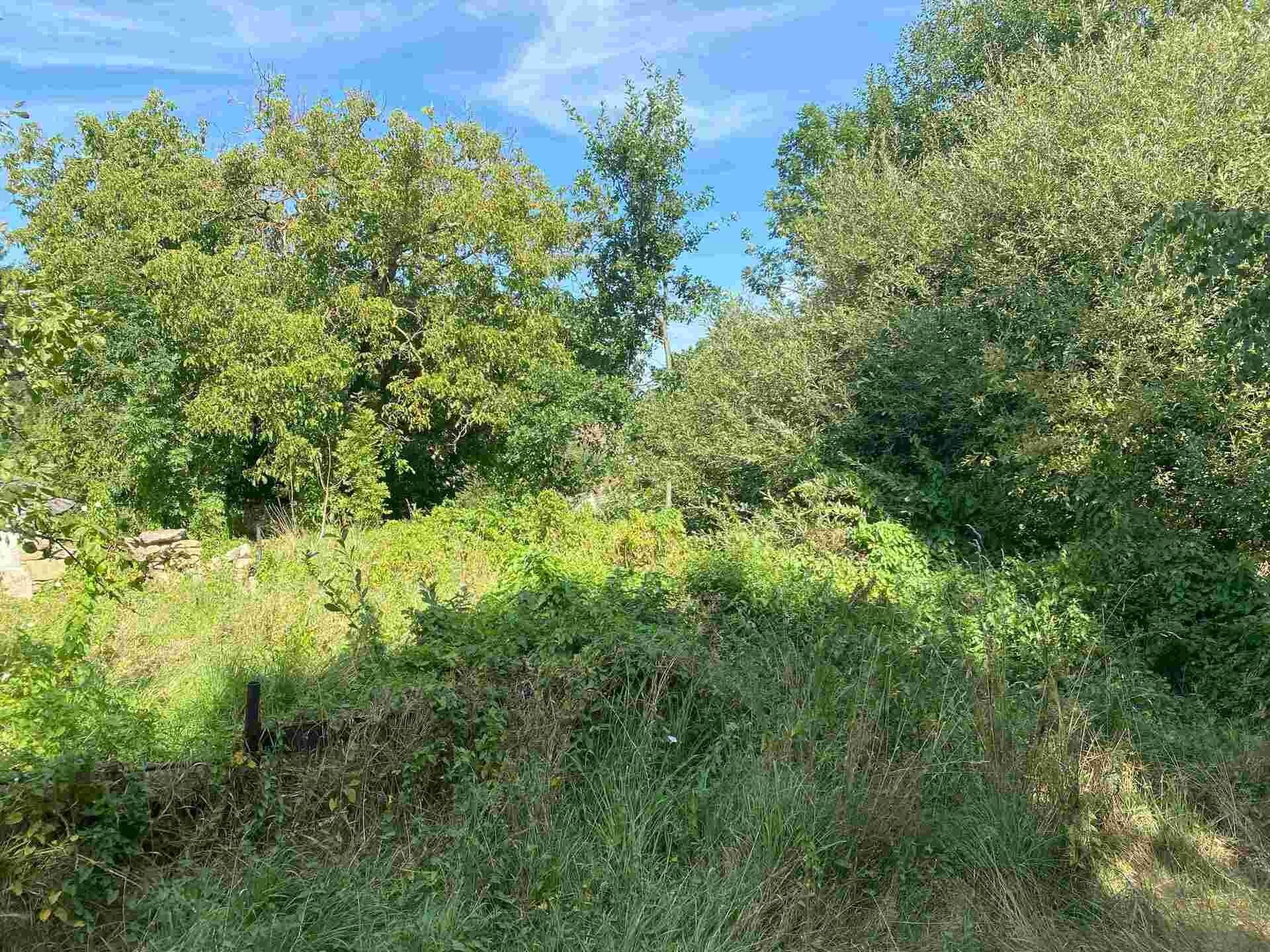 Prodej pozemek pro bydlení - Horní Stropnice Bedřichov, 2 842 m² - 5