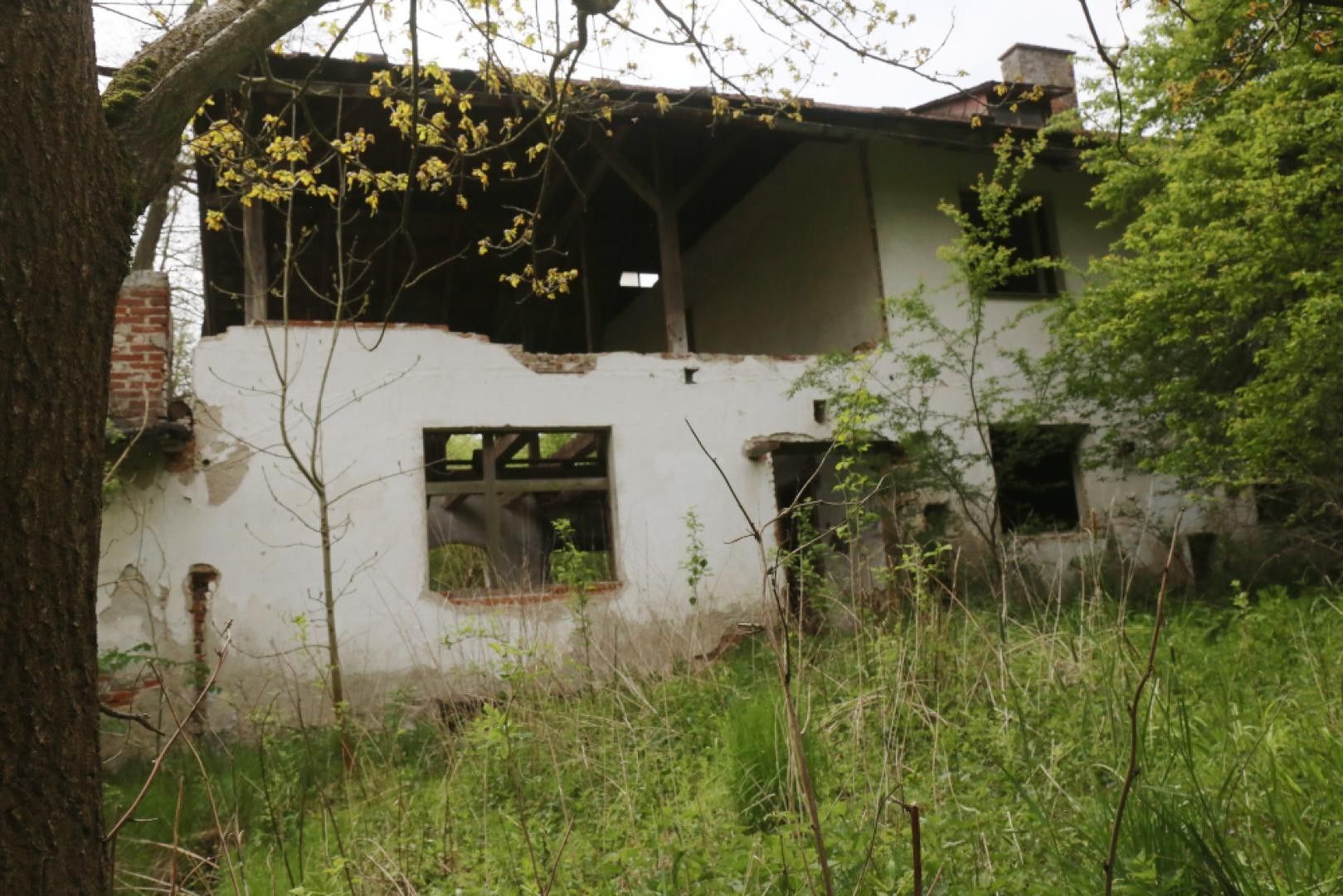 Zemědělská usedlost · 500 m² · Šlapanov - 4