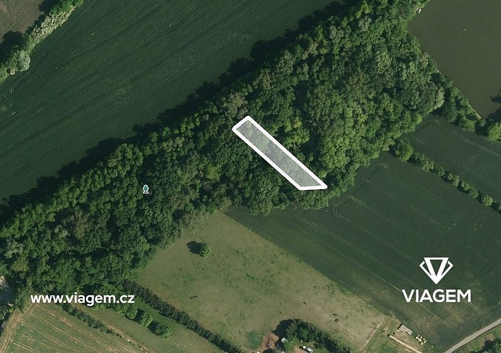 Lesy, Telnice, okres Brno-venkov, Jihomoravský kraj