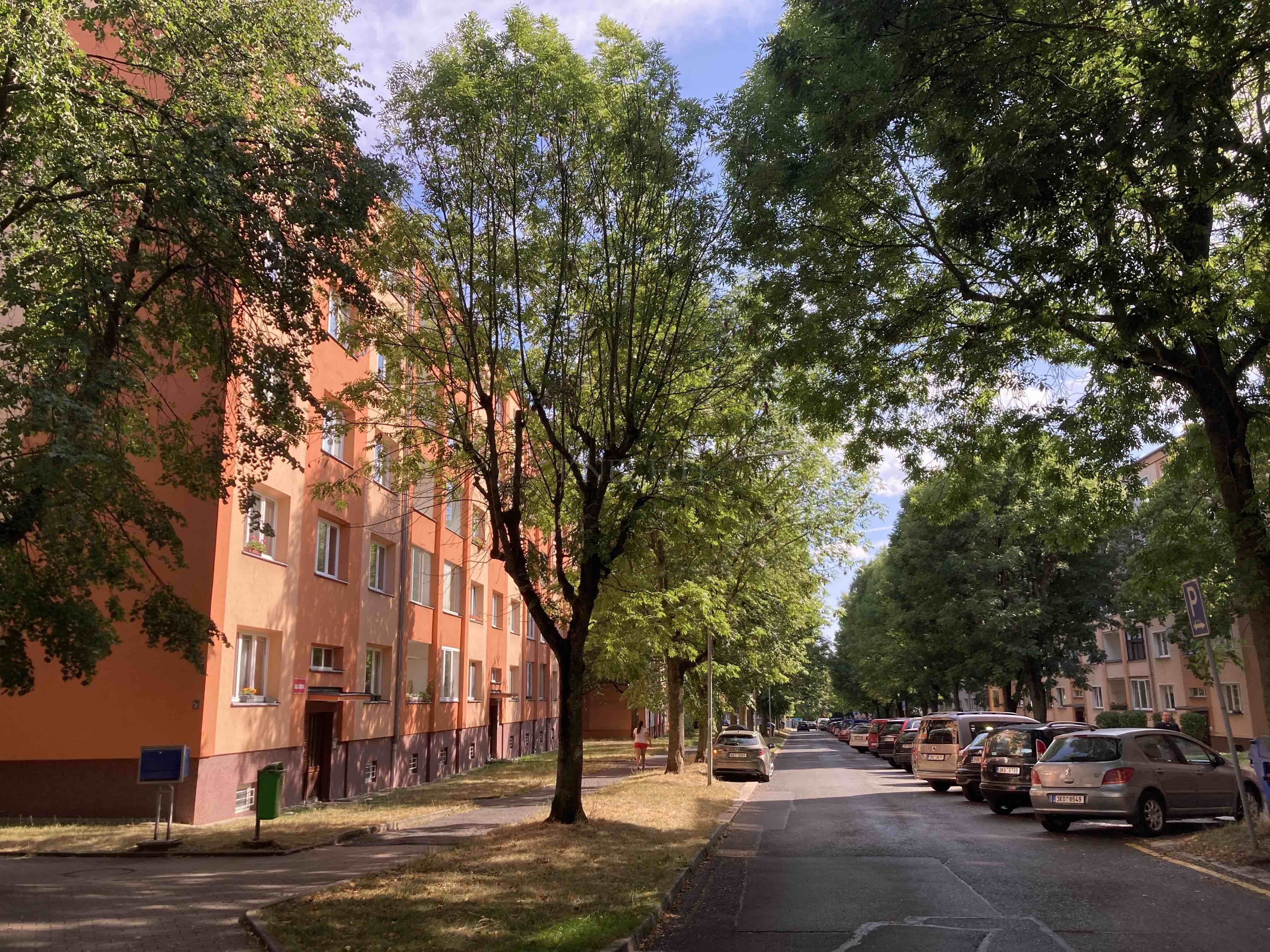 3+1, Kollárova, Ostrov, 71 m²