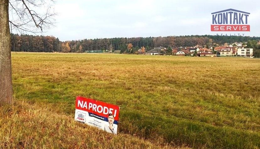 Prodej zemědělský pozemek - Litvínovice - 2