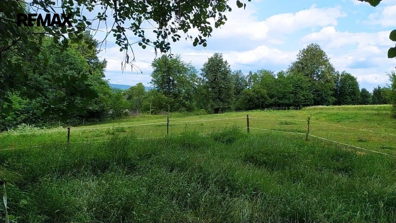 Pozemek pro bydlení · 7 880 m² · Mladějov na Moravě - 3