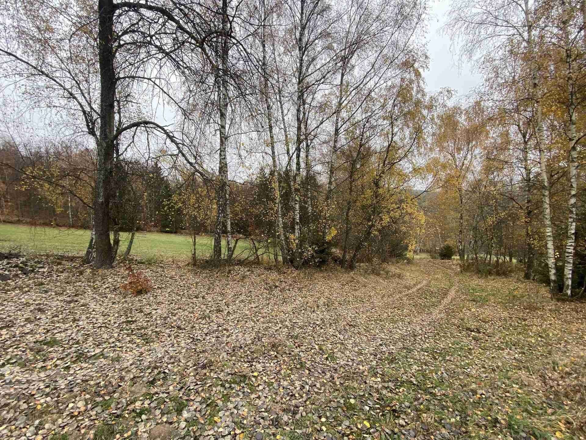 Zemědělský pozemek · 1 158 m² · Chvalšiny - 3