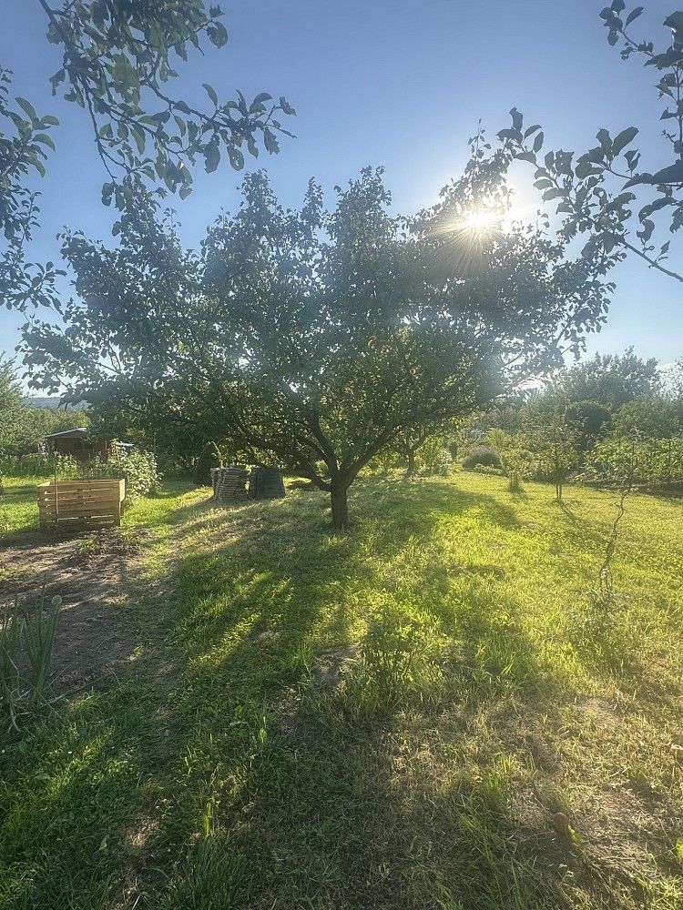 Prodej zahrada - Otrokovice, okres Zlín, Zlínský kraj - 5
