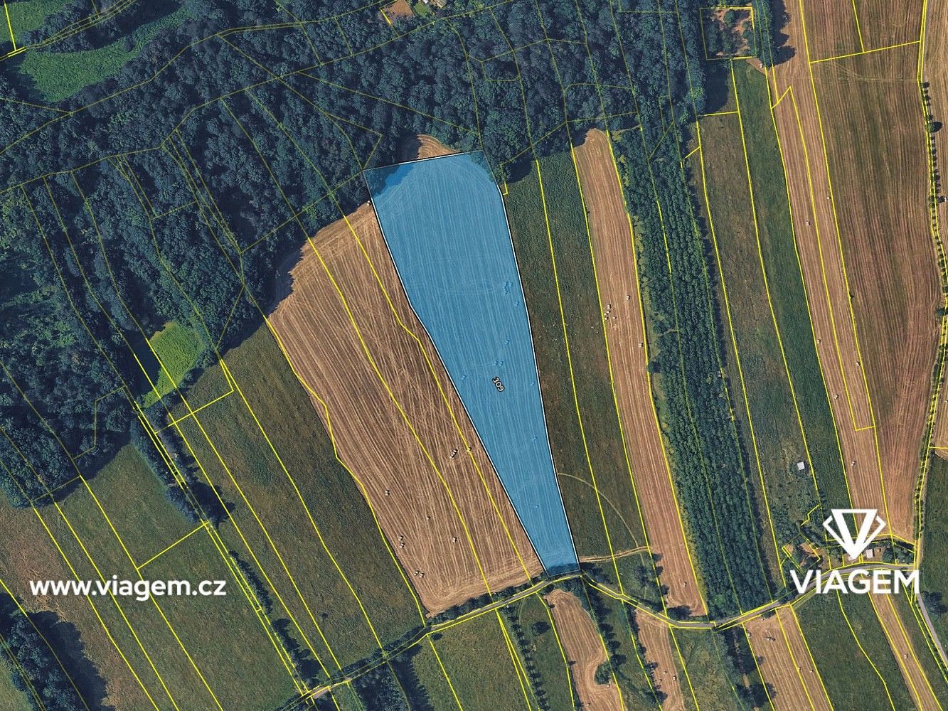 Zemědělský pozemek · Hostašovice, okres Nový Jičín, Moravskoslezský kraj - 4