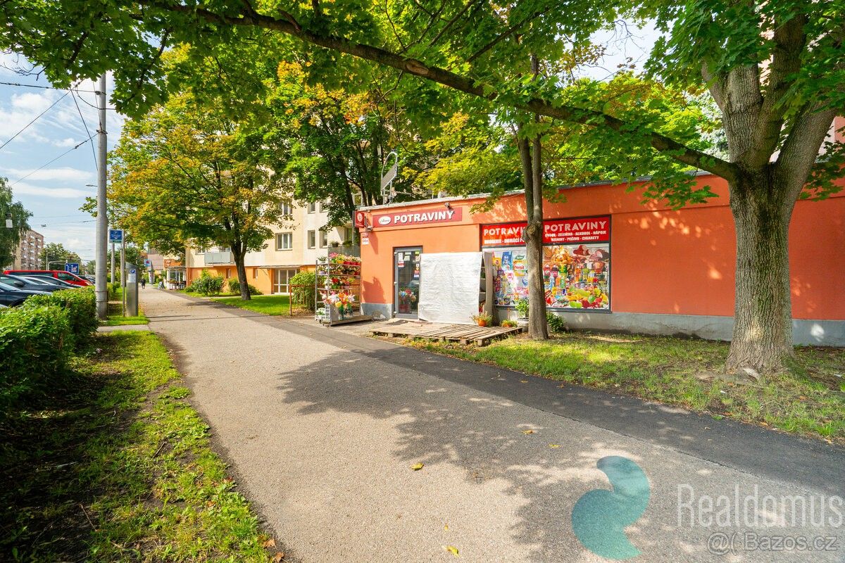 Obchodní prostory, České Budějovice, 370 01