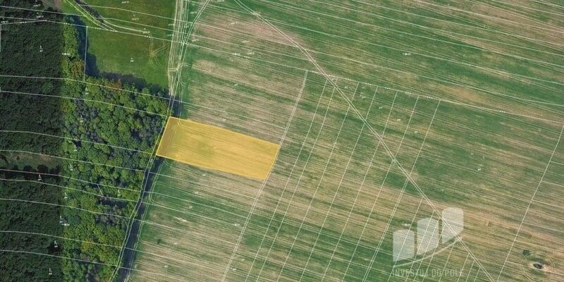 Prodej zemědělský pozemek - Dolní Lhota, 747 66, 55 755 m²