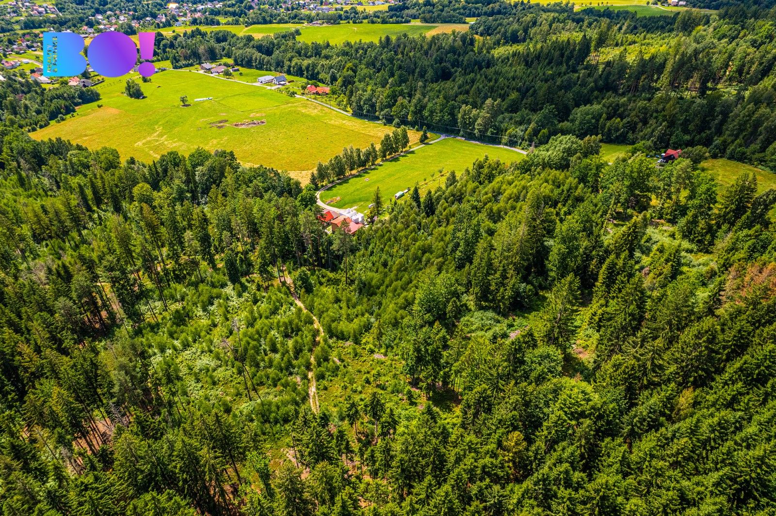 Les · 12 430 m² · Písek - 4