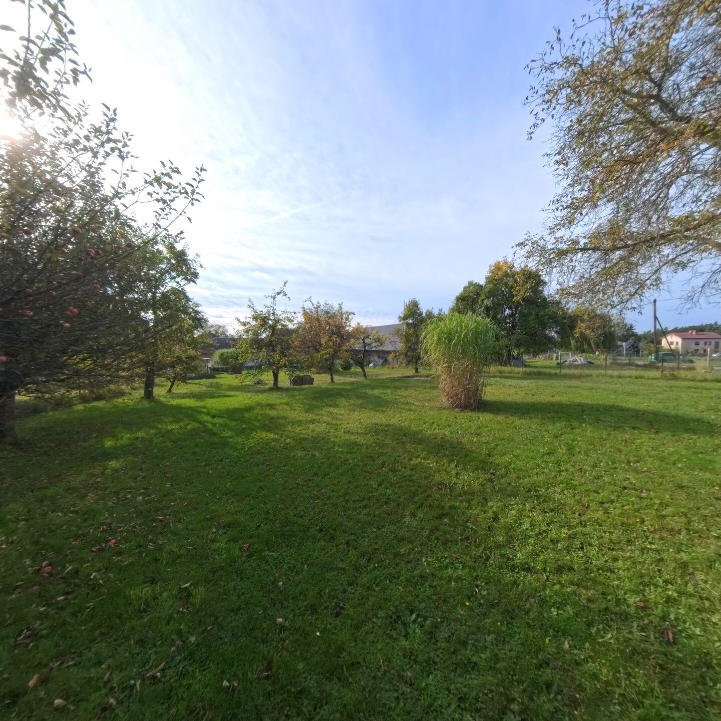 Prodej pozemek pro bydlení - Jenišovice, 1 m²