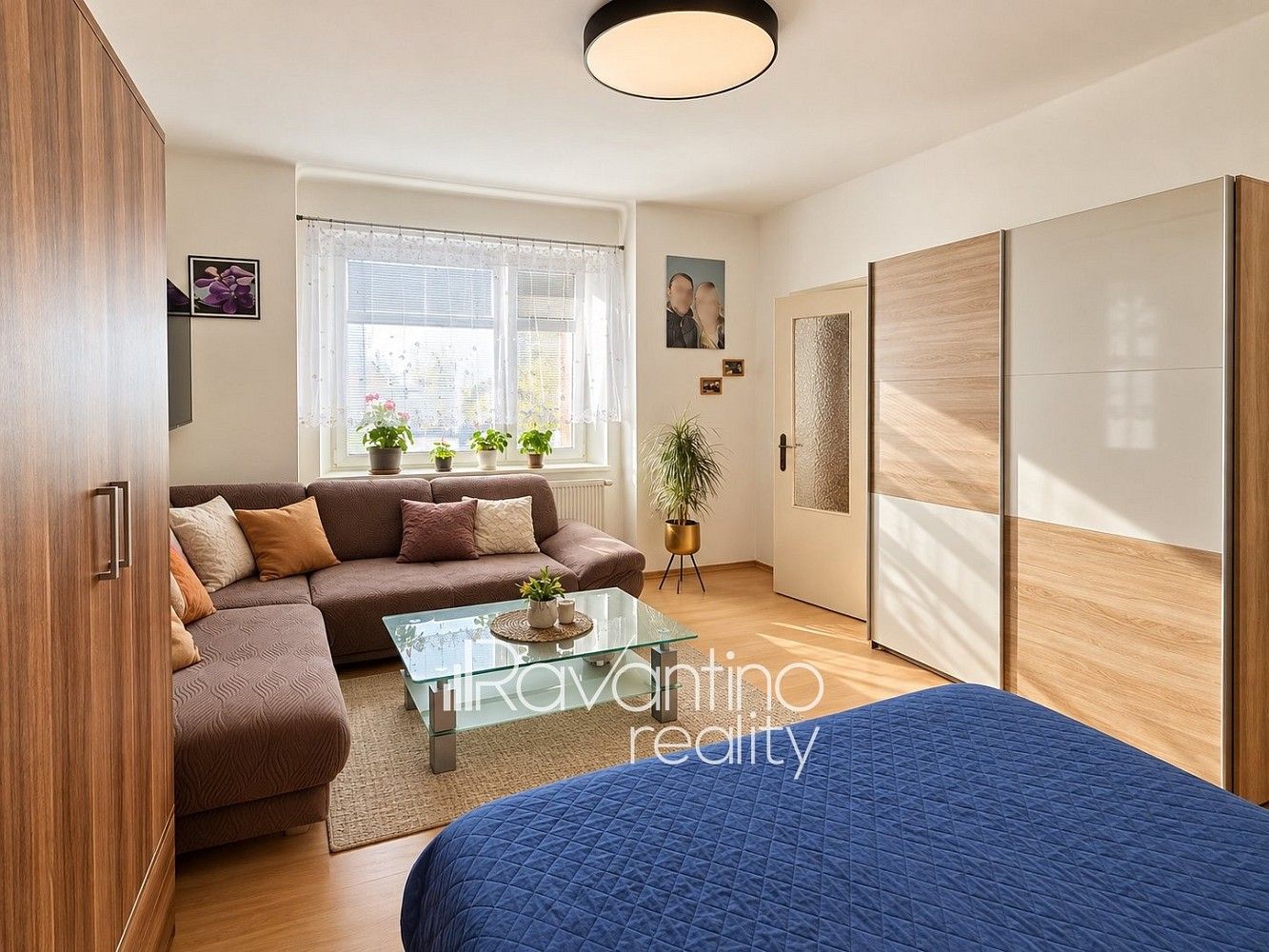 1+1, Charbulova, Brno - Černovice, 38 m²