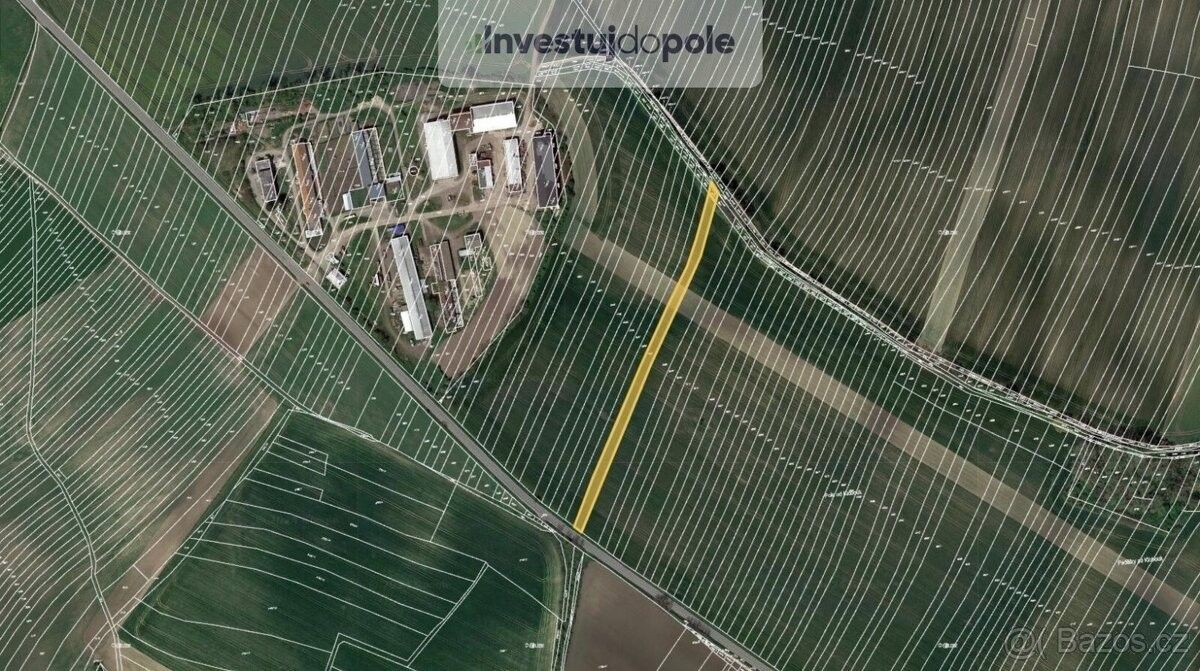 Pozemky pro bydlení, Borkovany, 691 75