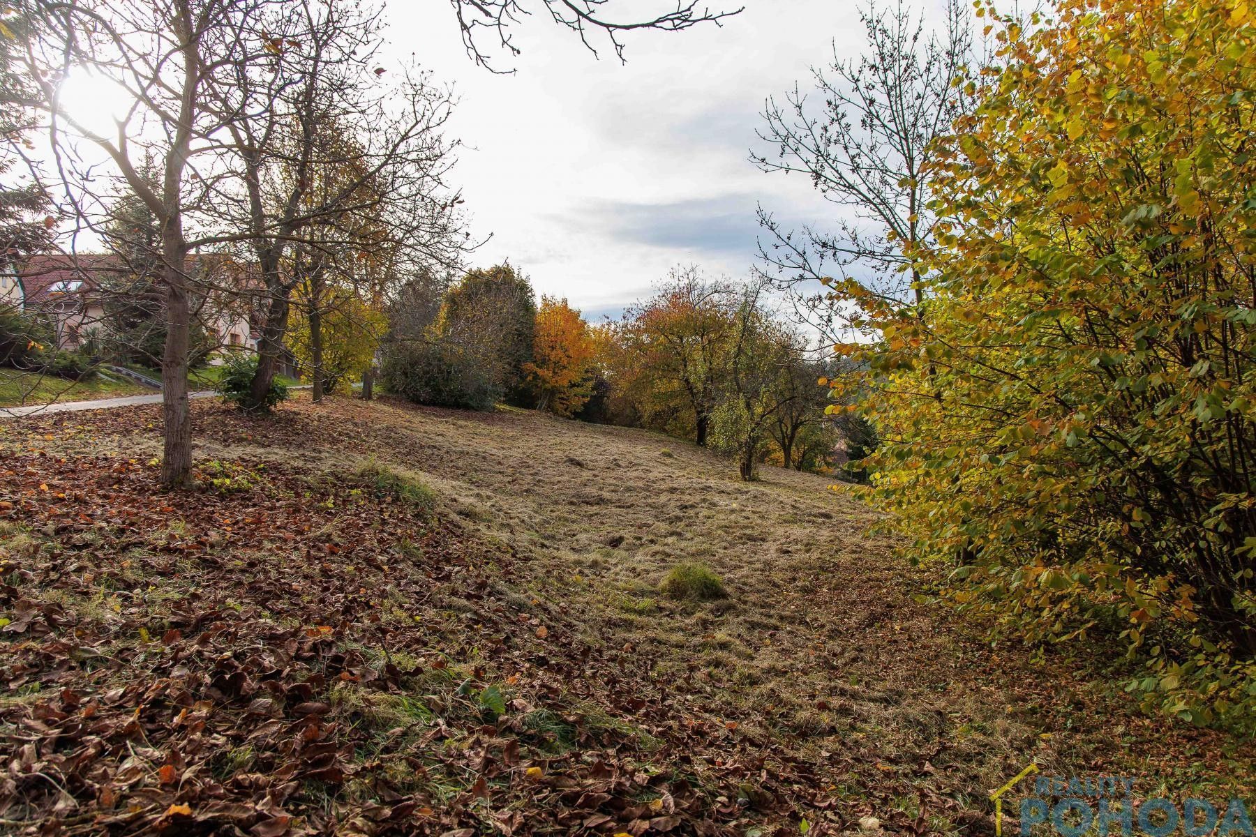 Prodej pozemek pro bydlení - Příluka, 805 m²