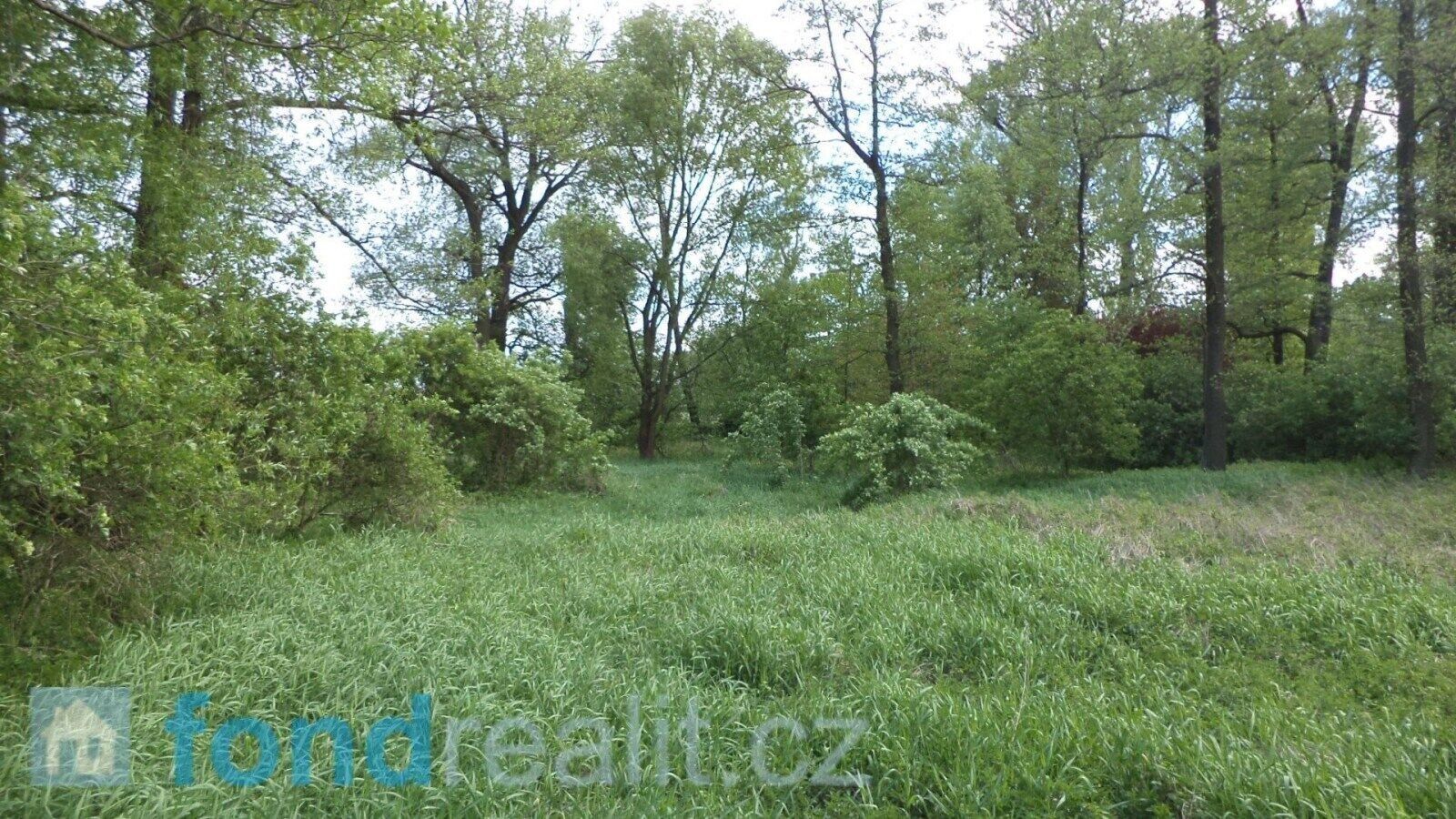 Pozemek · 1 844 m² · Dětmarovice Koukolná - 3