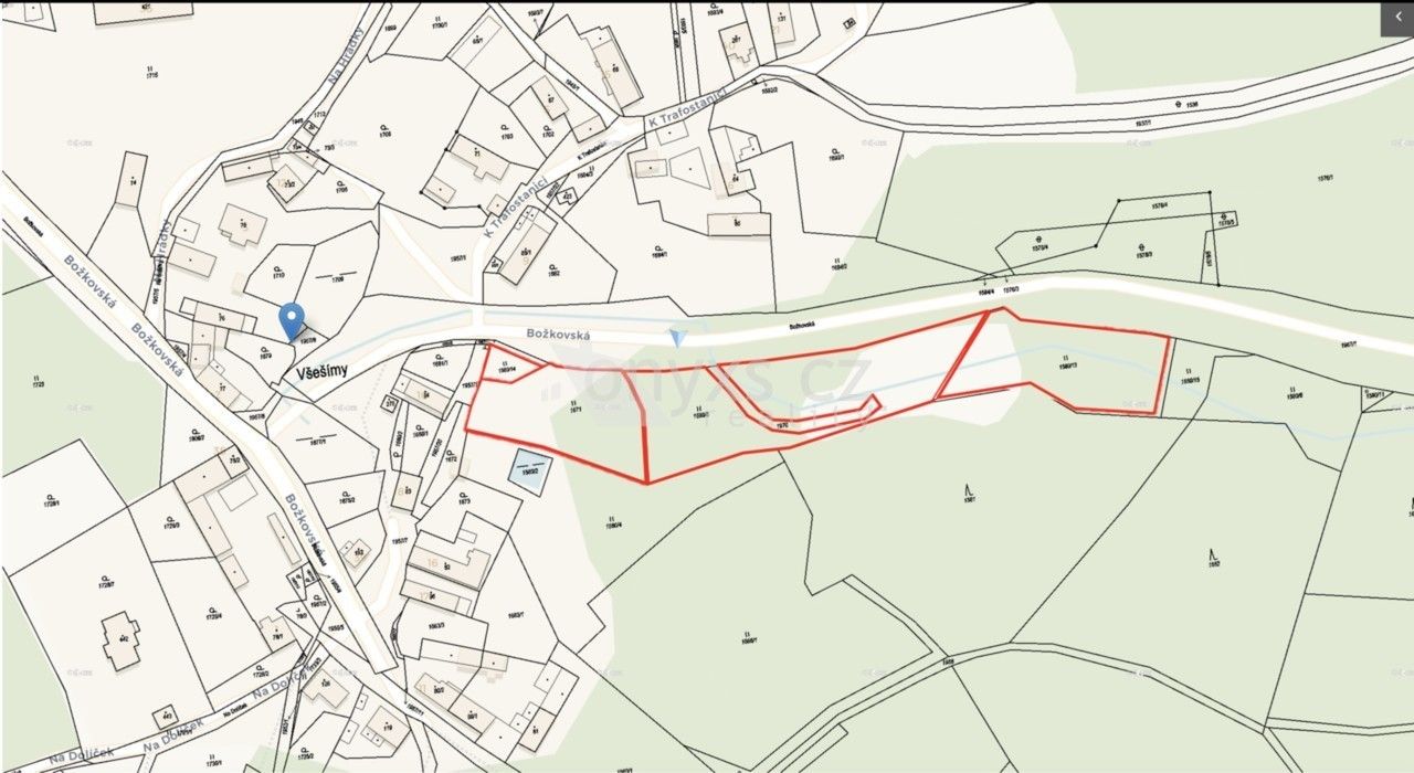 Prodej louka - Všešímy, Kunice, 8 131 m² - 2