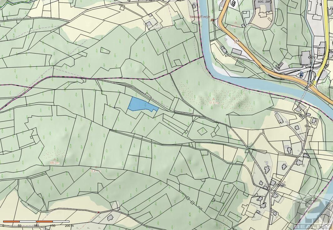 Prodej les - Paseky nad Jizerou - 2