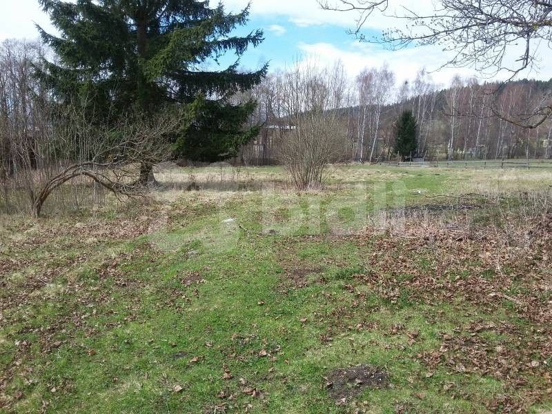 Prodej pozemek pro bydlení - Hůrka, Horní Planá