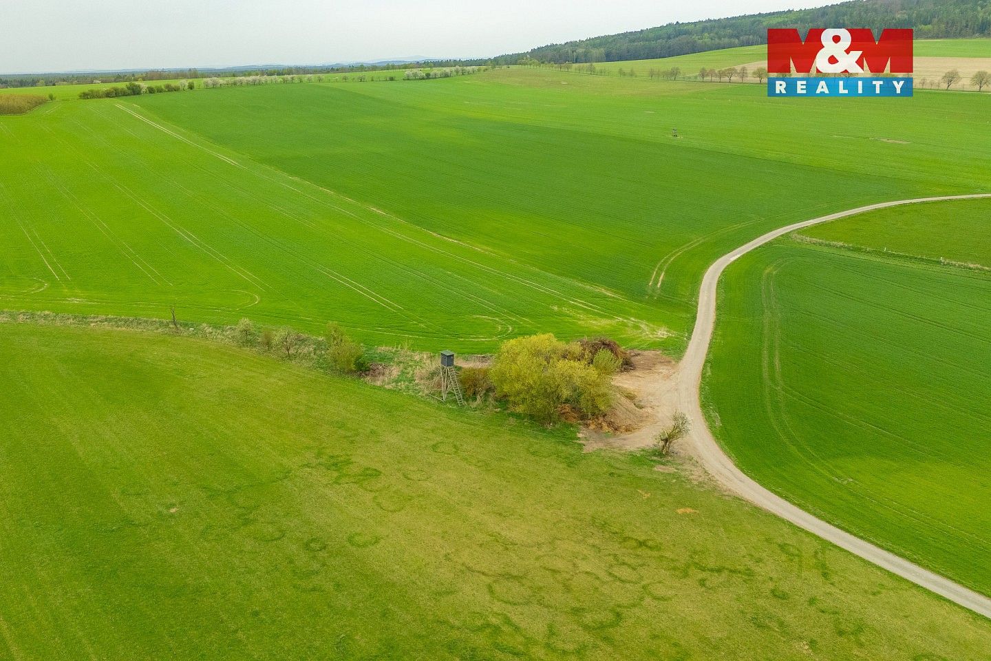 Prodej louka - Olešnice, okres Rychnov nad Kněžnou, Královéhradecký kraj - 5