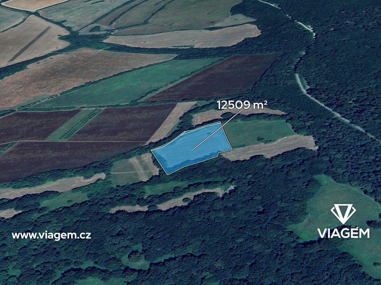 Zemědělské pozemky, Velká nad Veličkou, okres Hodonín, Jihomoravský kraj