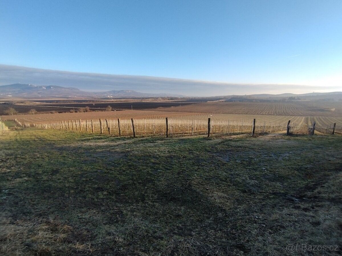 Pozemky pro bydlení, Dolní Dunajovice, 691 85