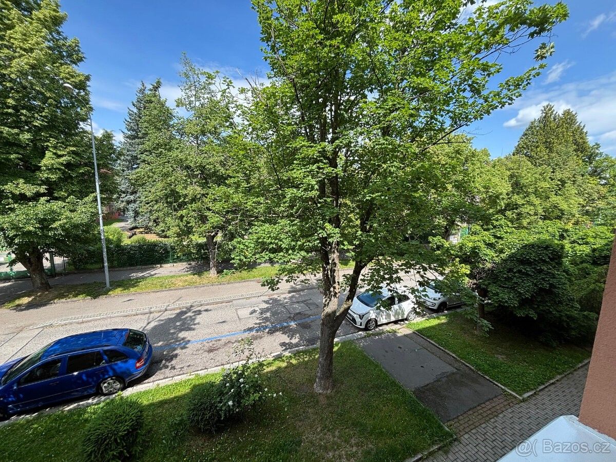 Prodej byt - České Budějovice, 370 04