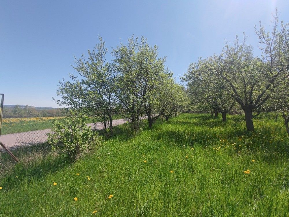 Prodej zahrada - Skuteč, 539 73