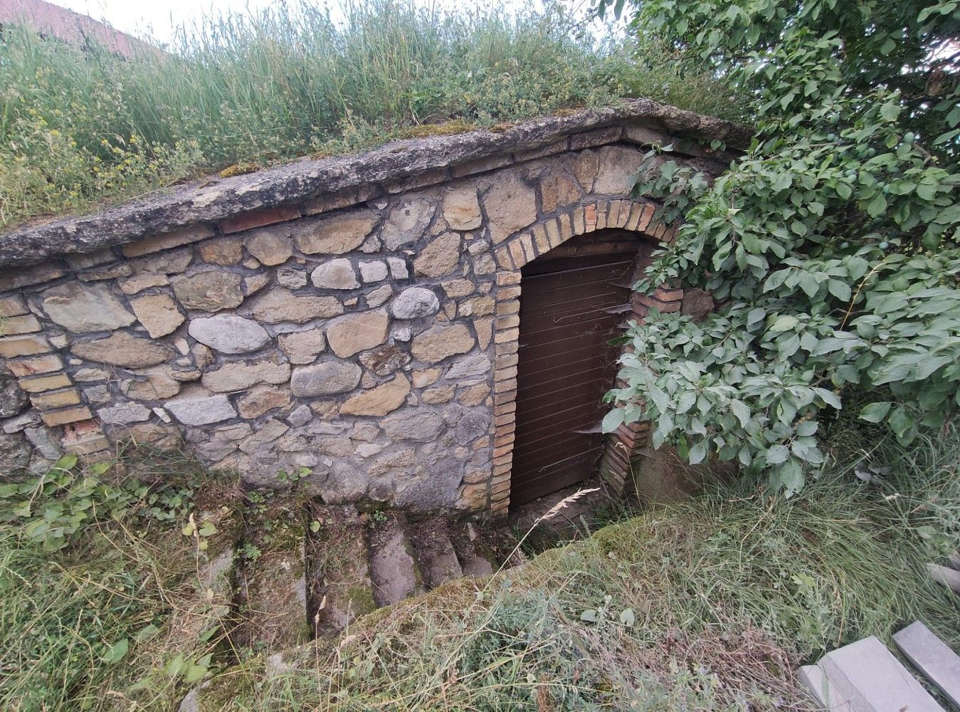 Ostatní, Vrbice, okres Břeclav, 14 m² - 1