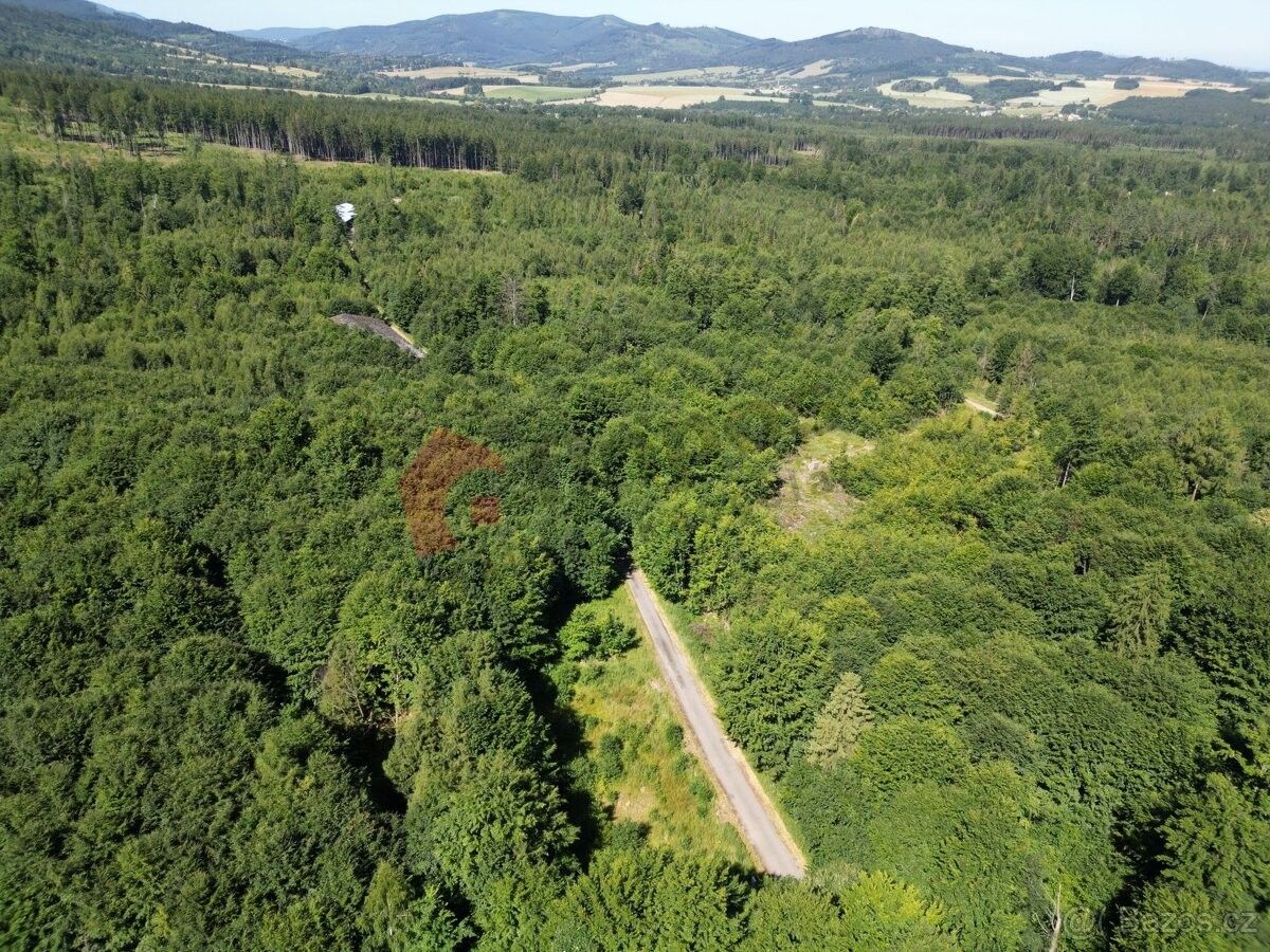 Pozemky pro bydlení, Mikulovice u Jeseníku, 790 84