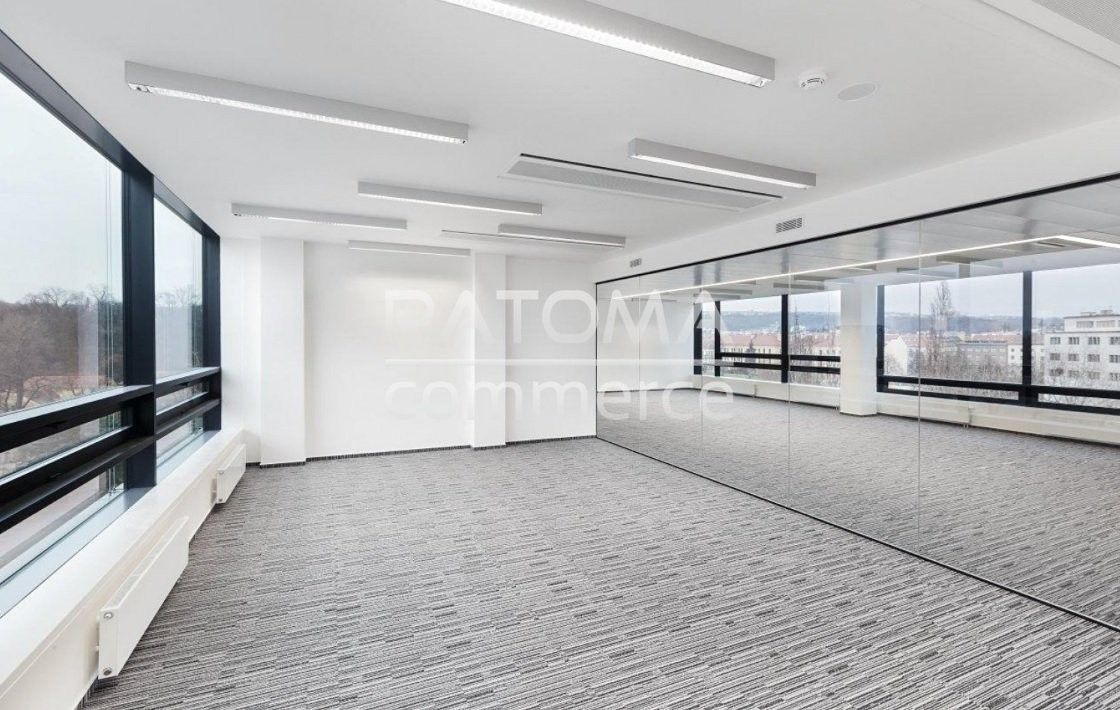 Kanceláře, Boudníkova, Praha, 828 m² - 2