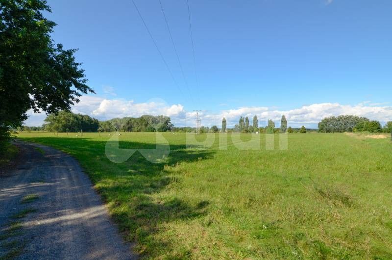 Prodej pozemek pro bydlení - Záryby - 5