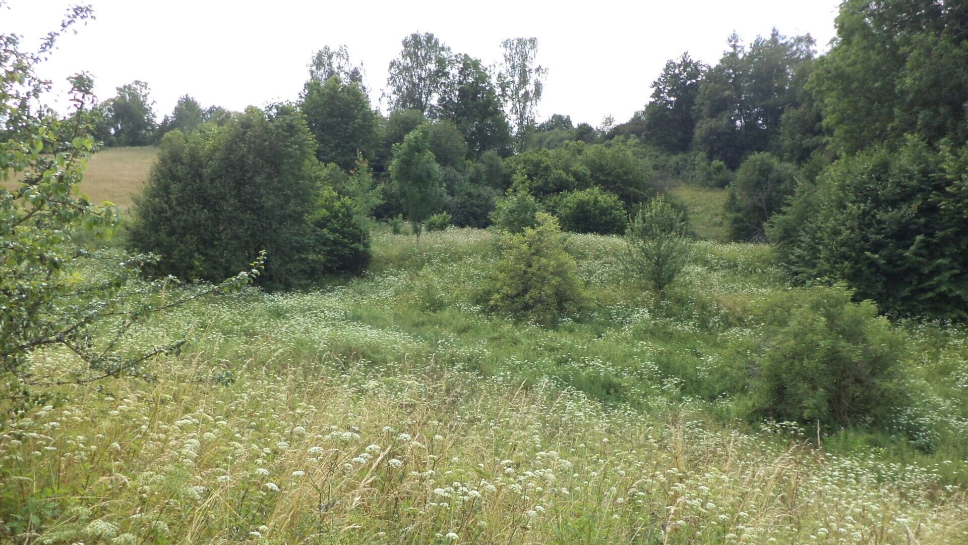 Ostatní, Chotěvice, 3 776 m²