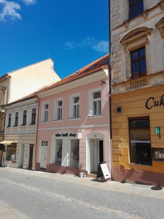 Prodej obchodní prostory - Písek, 397 01