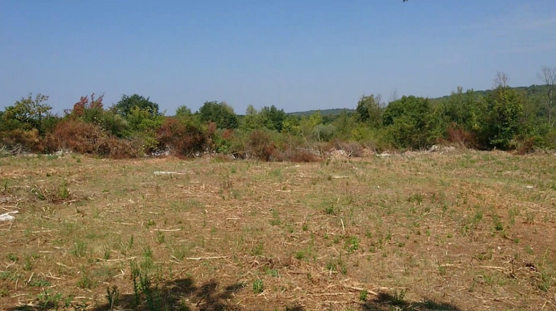 Pozemky pro bydlení, Kanfanar, Istarska županija, Chorvatsko - 2