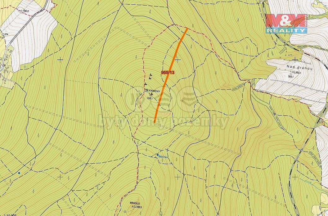 Les · Nová Hradečná, okres Olomouc, Olomoucký kraj - 4