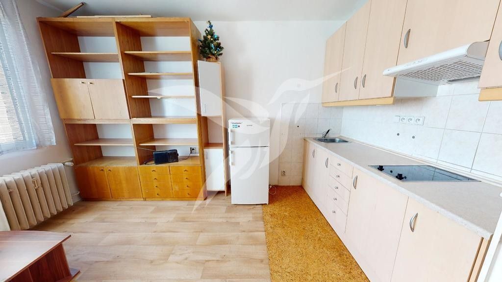 Pronájem byt 1+kk - Skupova 2515, Plzeň, 20 m²