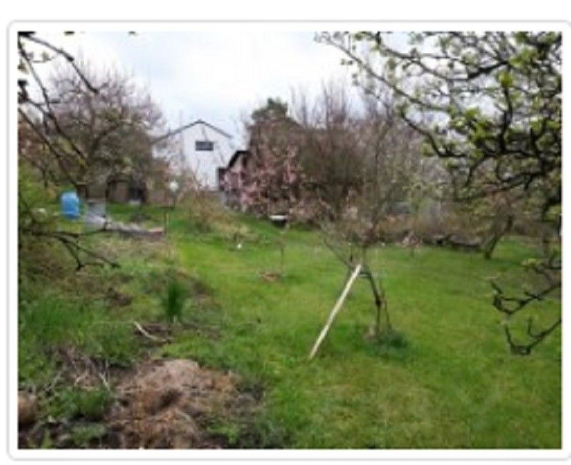 Zahrady, Kosmonosy, 2 304 m²