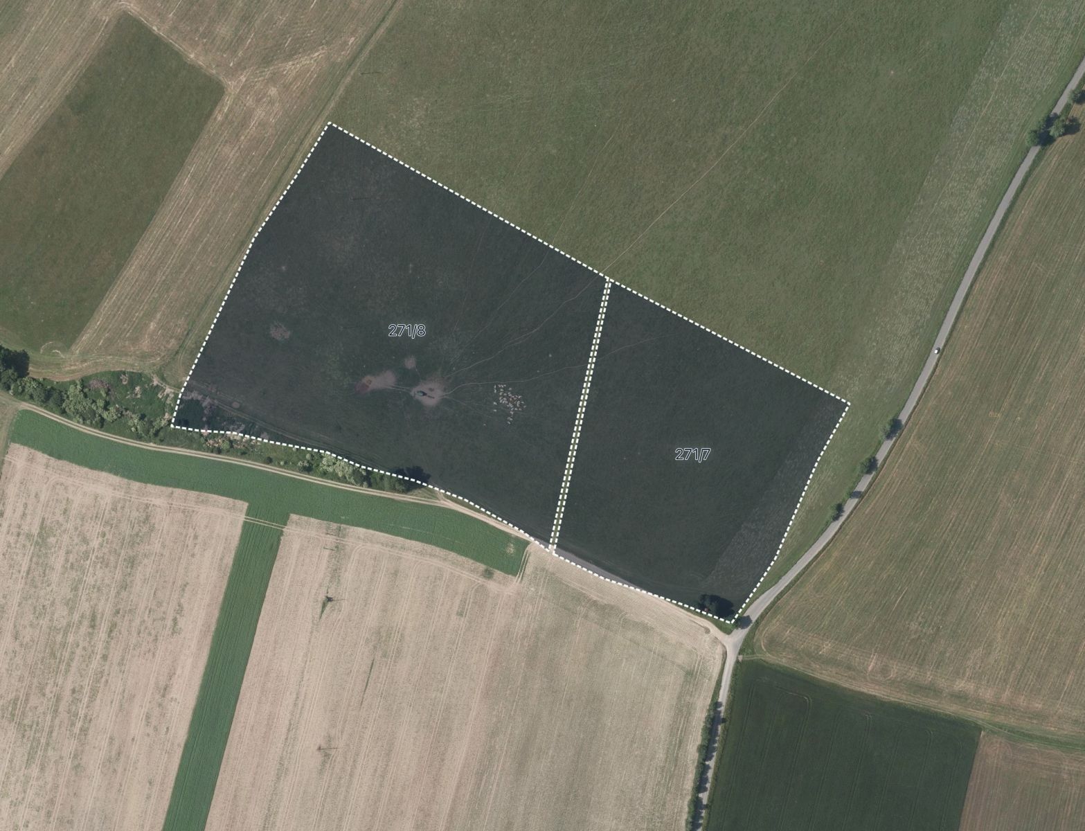 Prodej louka - Těšíkov, Šternberk