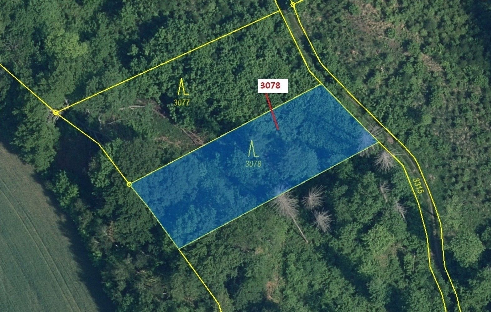 Prodej les - Benešov u Semil, okres Semily, Liberecký kraj - 2