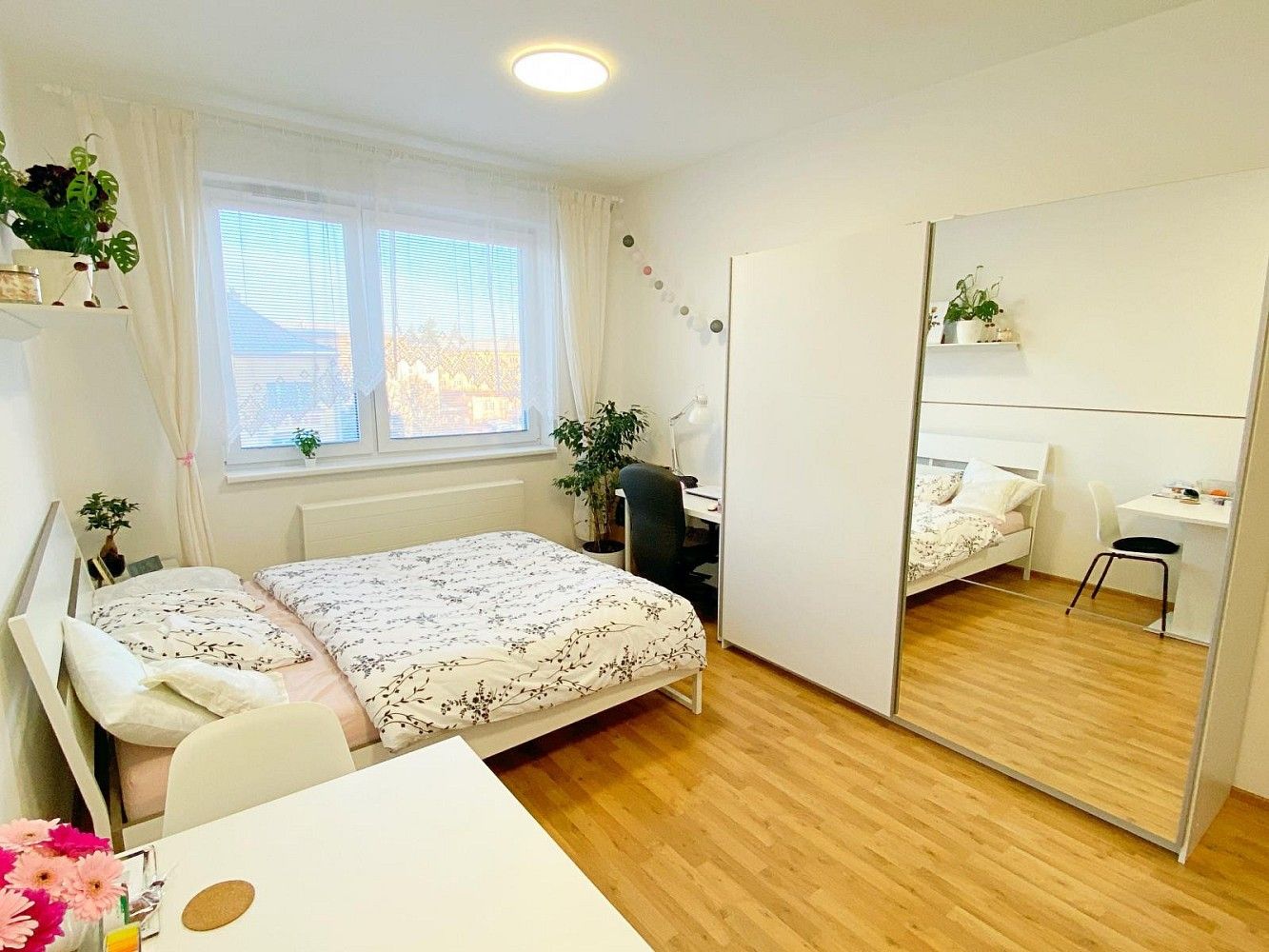 Byt 1+kk · 34 m² · Olomouc, Olomoucký kraj - 4