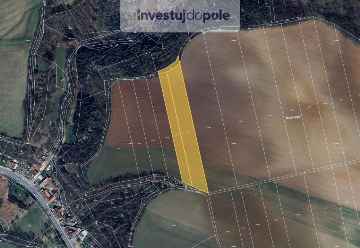 Prodej zemědělský pozemek - Letovice, 679 61, 10 583 m²