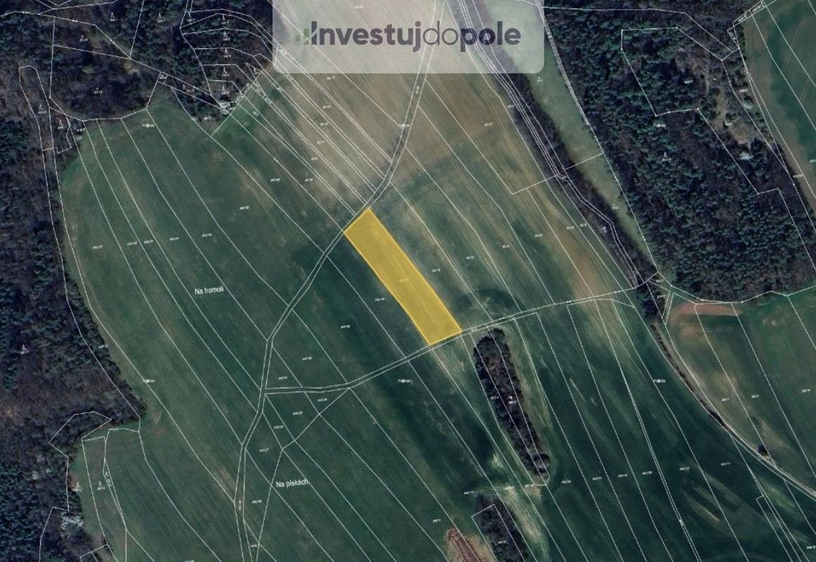 Prodej zemědělský pozemek - Letovice, 679 61, 2 943 m²