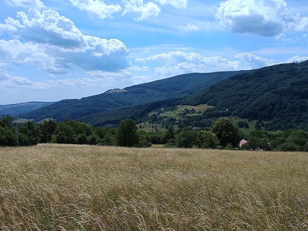 Prodej pozemek - Lopeník, okres Uherské Hradiště, Zlínský kraj - 5