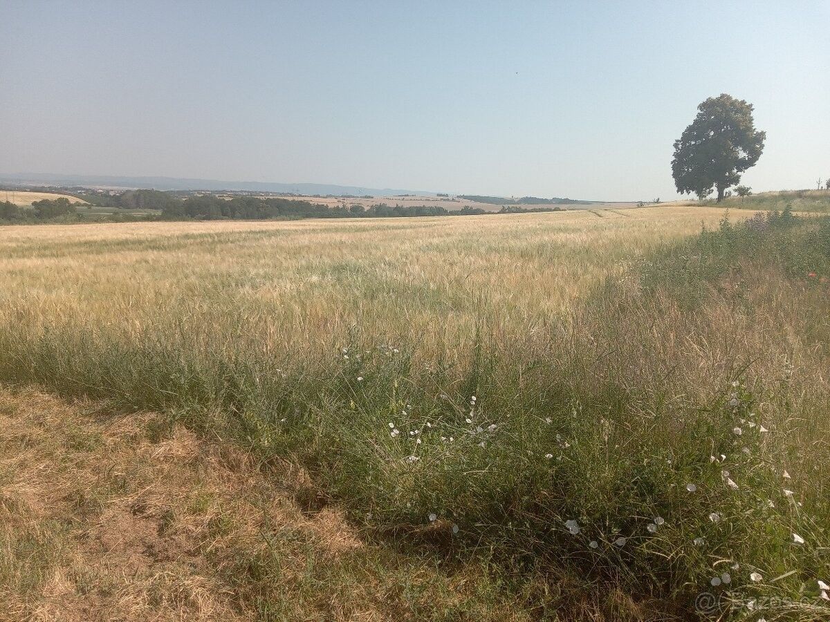 Pozemky pro bydlení, Přerov, 750 02 - 1