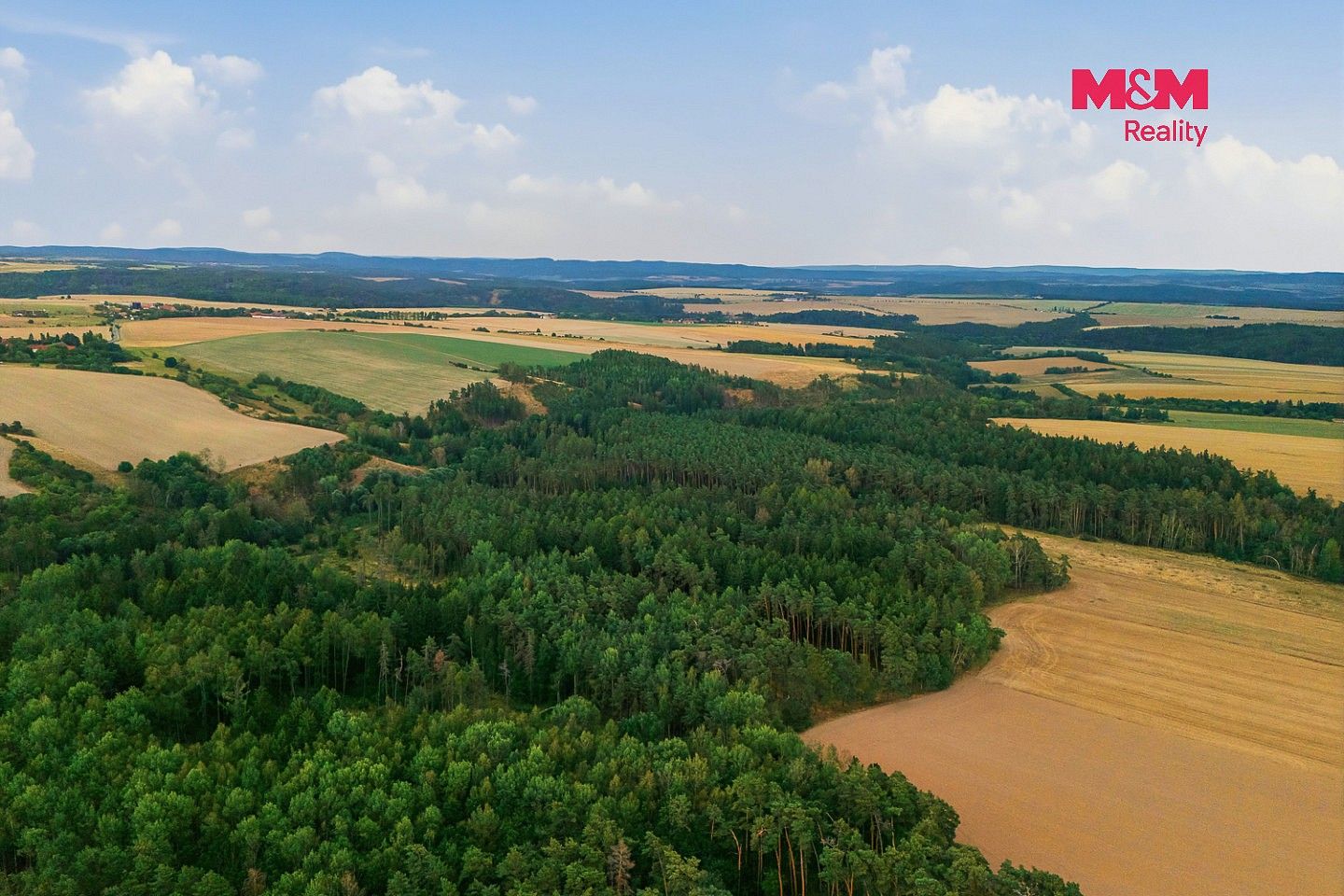 Les · Břežany, okres Rakovník, Středočeský kraj - 3