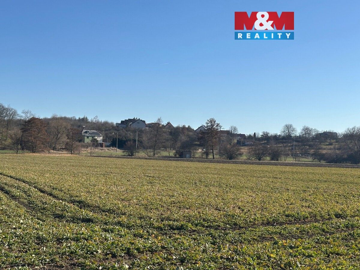 Zemědělské pozemky, Podbořany, 441 01, 10 577 m²